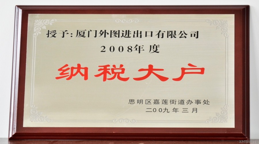 2008年度纳税大户